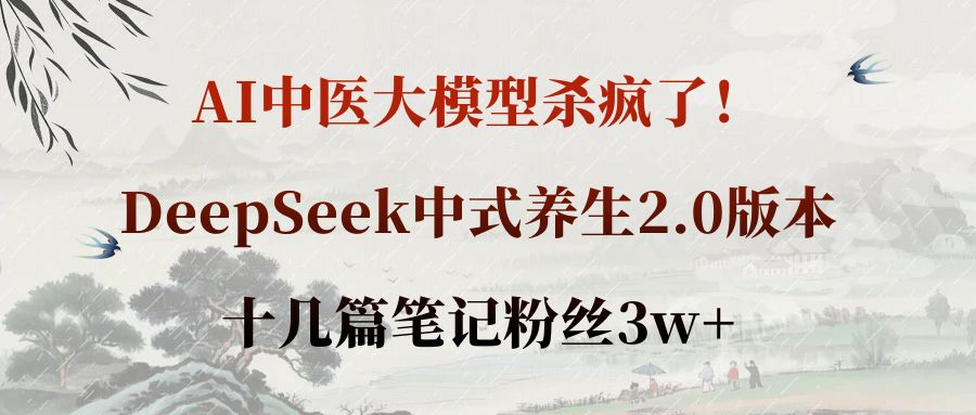 AI中医大模型杀疯了！DeepSeek中式养生2.0版本，十几篇笔记粉丝3w+-星河网创