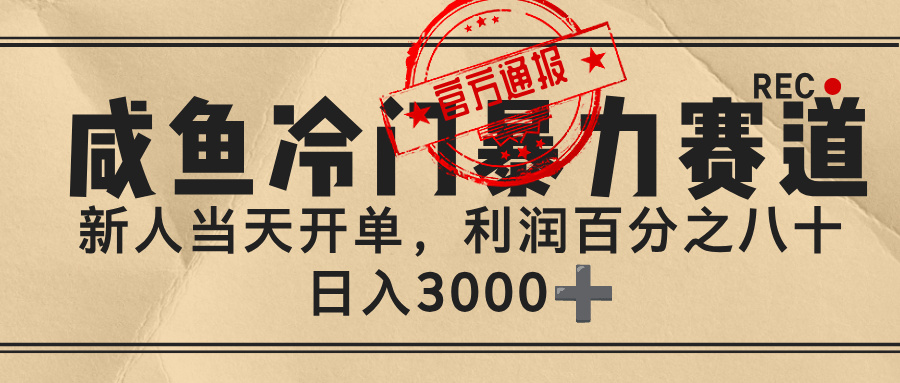闲鱼，冷门暴力赛道，一单 80%利润，新人轻松日入 3000+-星河网创