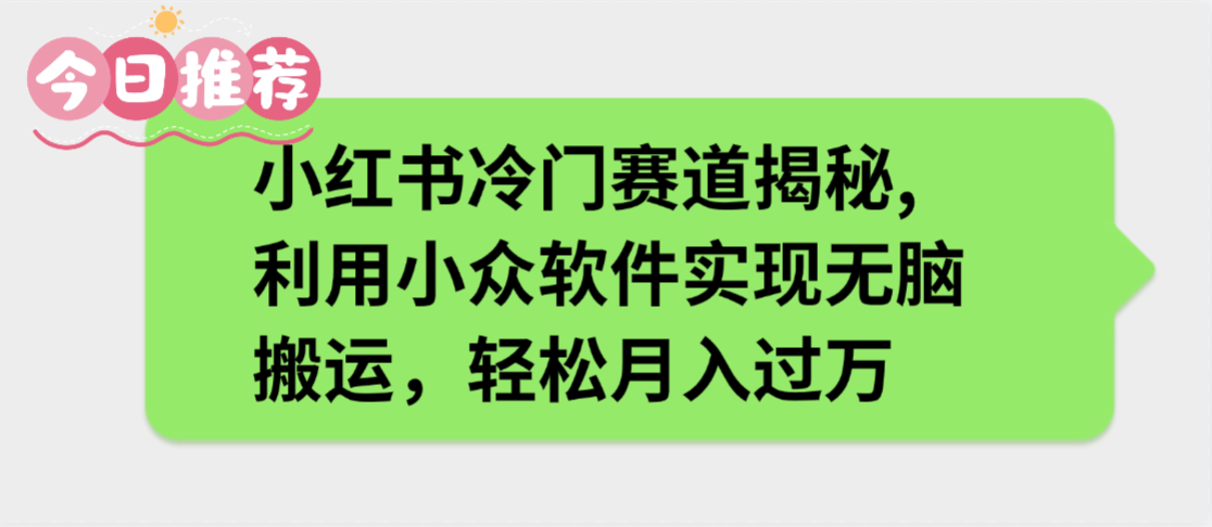 小红书冷门赛道揭秘,利用小众软件实现无脑搬运,轻松月入过万-星河网创