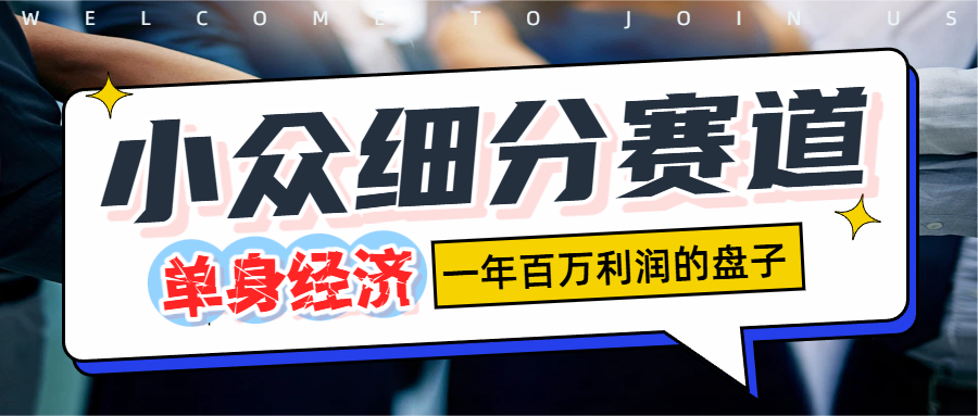 单身经济赛道，一天1000+-星河网创